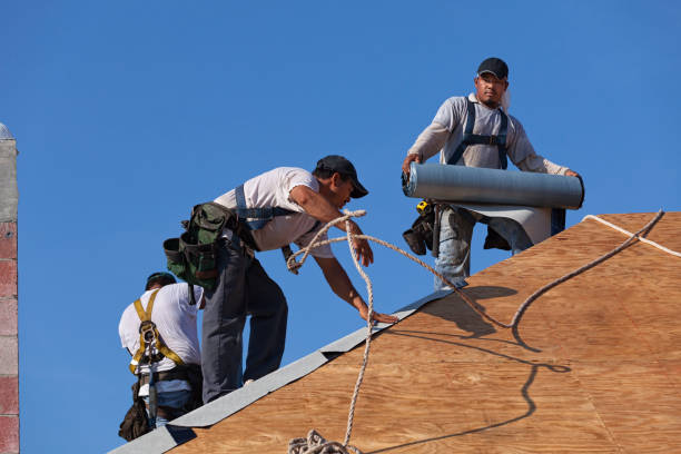 Best Roof Maintenance Services  in Ambridge, PA