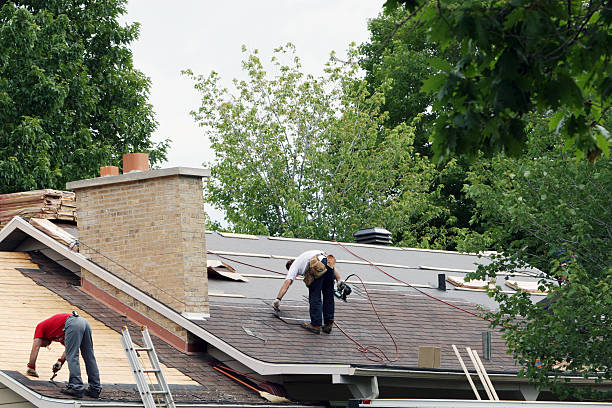 Best Flat Roof Repair Services  in Ambridge, PA